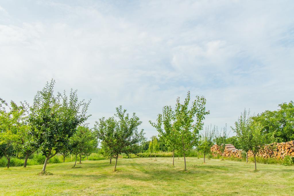 Garden Holiday Home Drenje  외부 사진